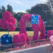 ヒメ日記 2026/01/26 19:50 投稿 みおり 奥様はエンジェル　相模原店