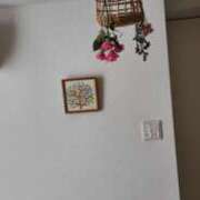 ヒメ日記 2026/03/03 10:28 投稿 四条えりか 五十路マダム金沢店