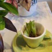 ヒメ日記 2026/04/06 17:26 投稿 四条えりか 五十路マダム金沢店