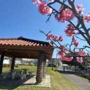 ヒメ日記 2026/02/10 13:48 投稿 大場友子 五十路マダム金沢店