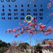 ヒメ日記 2026/02/16 12:24 投稿 大場友子 五十路マダム金沢店