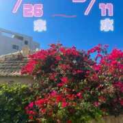 ヒメ日記 2026/02/18 14:54 投稿 大場友子 五十路マダム金沢店