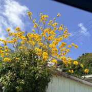 大場友子 イペー(´ `) 五十路マダム金沢店