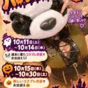 ヒメ日記 2026/10/02 11:16 投稿 マイ ラブコレクション