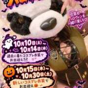 ヒメ日記 2026/10/21 06:16 投稿 マイ ラブコレクション