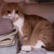 ヒメ日記 2026/01/09 15:31 投稿 ユア ラブコレクション