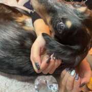 ヒメ日記 2026/01/18 09:35 投稿 SHIRONA 秘密倶楽部 凛 船橋本店