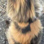 ヒメ日記 2026/01/01 22:28 投稿 くるみ 錦糸町人妻セレブリティ（ユメオト）