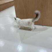 ヒメ日記 2025/12/19 23:13 投稿 のえる 船橋ときめき女学園