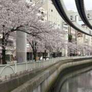 ヒメ日記 2026/04/07 10:18 投稿 りんか 千葉人妻セレブリティ（ユメオト）