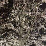 ヒメ日記 2026/04/08 12:25 投稿 りんか 千葉ミセスアロマ（ユメオト）