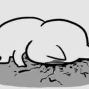 ヒメ日記 2026/02/03 11:15 投稿 花凛奈【かりな】 輝女