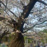 ヒメ日記 2026/04/08 21:04 投稿 花凛奈【かりな】 輝女