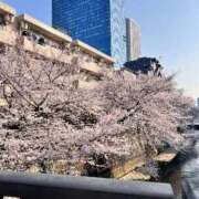 ヒメ日記 2026/03/29 20:56 投稿 恋乃うい 人妻ジャンキー