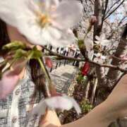 ヒメ日記 2026/03/31 15:06 投稿 恋乃うい 人妻ジャンキー