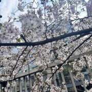 ヒメ日記 2026/03/31 15:56 投稿 恋乃うい 人妻ジャンキー