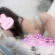 ヒメ日記 2025/12/18 11:13 投稿 なごみ（全身性感帯×現役大学生 ハニービー（Honey Bee）