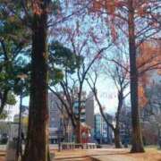 ゆかり 癒されます 逢って30秒で即尺