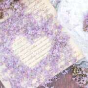 ヒメ日記 2026/01/19 22:50 投稿 みつき 人妻の輝き(大阪)