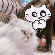 ヒメ日記 2026/02/06 20:28 投稿 じゅん 錦糸町人妻ヒットパレード（シンデレラグループ）