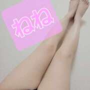 桜田　ねね ありがとう♡ ミセスサマンサPLUS