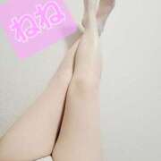 ヒメ日記 2025/12/21 00:49 投稿 桜田　ねね ミセスサマンサPLUS