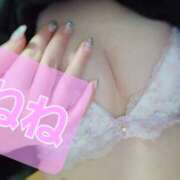 ヒメ日記 2026/01/02 19:41 投稿 桜田　ねね ミセスサマンサPLUS