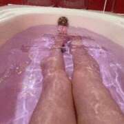 ヒメ日記 2026/01/25 08:31 投稿 ことり ジュエルズ