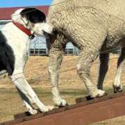 ヒメ日記 2026/02/10 12:16 投稿 みづき ジュエルズ