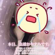 ヒメ日記 2025/12/18 18:16 投稿 はく チューリップ仙台店