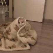 ヒメ日記 2026/02/16 12:01 投稿 あや ジュエルズ