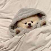 ヒメ日記 2026/02/19 10:46 投稿 あや ジュエルズ