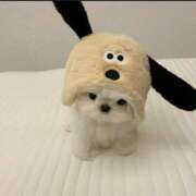 ヒメ日記 2026/02/28 10:16 投稿 あや ジュエルズ