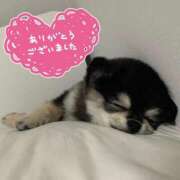 ヒメ日記 2026/04/04 11:01 投稿 あや ジュエルズ