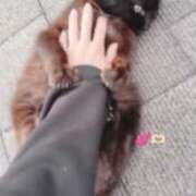 ヒメ日記 2026/03/25 19:32 投稿 あお アレグリア