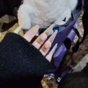 ヒメ日記 2026/04/13 21:11 投稿 あお アレグリア