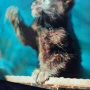 ヒメ日記 2026/04/28 19:40 投稿 あお アレグリア