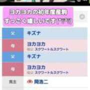 ヒメ日記 2026/04/26 08:03 投稿 かんな おいらん遊郭