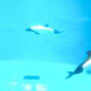 ヒメ日記 2026/10/11 21:15 投稿 みづき 奥鉄オクテツ大阪