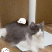 ヒメ日記 2026/02/09 12:46 投稿 うる 新潟デリヘル倶楽部