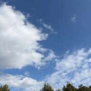 ヒメ日記 2026/03/13 08:00 投稿 ひかり CECIL