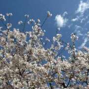 ヒメ日記 2026/04/04 18:19 投稿 ひかり CECIL