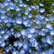 ヒメ日記 2026/04/17 14:00 投稿 ひかり CECIL