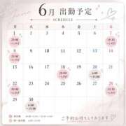 ヒメ日記 2026/06/01 12:02 投稿 ひかり CECIL