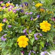 ヒメ日記 2026/06/21 23:01 投稿 ひかり CECIL