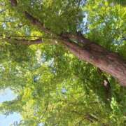 飛鳥（アスカ） お休みになります アバンチュール(五反田)