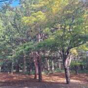 飛鳥（アスカ） 出勤予定 アバンチュール(五反田)