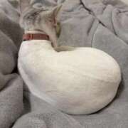 ヒメ日記 2026/04/07 12:39 投稿 はるか 夕月