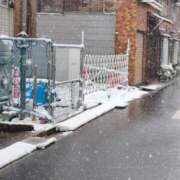 ヒメ日記 2026/02/08 09:55 投稿 みかん♪ プリティーガール