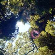 ヒメ日記 2026/01/12 23:45 投稿 二ノ宮わかな セカンドパートナー